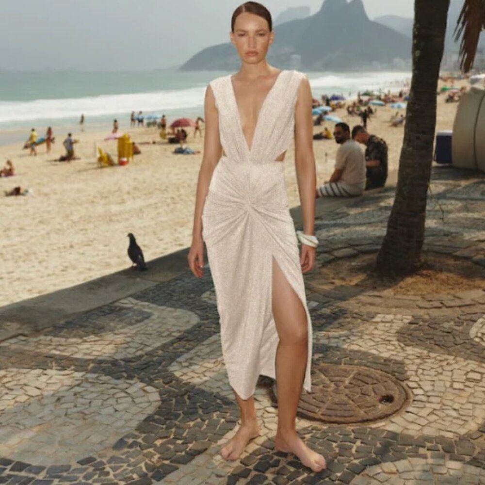 NWT Baobab Mia Dress in Conchita